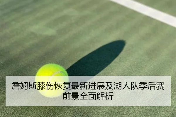 詹姆斯膝伤恢复最新进展及湖人队季后赛前景全面解析 | SPORTS
